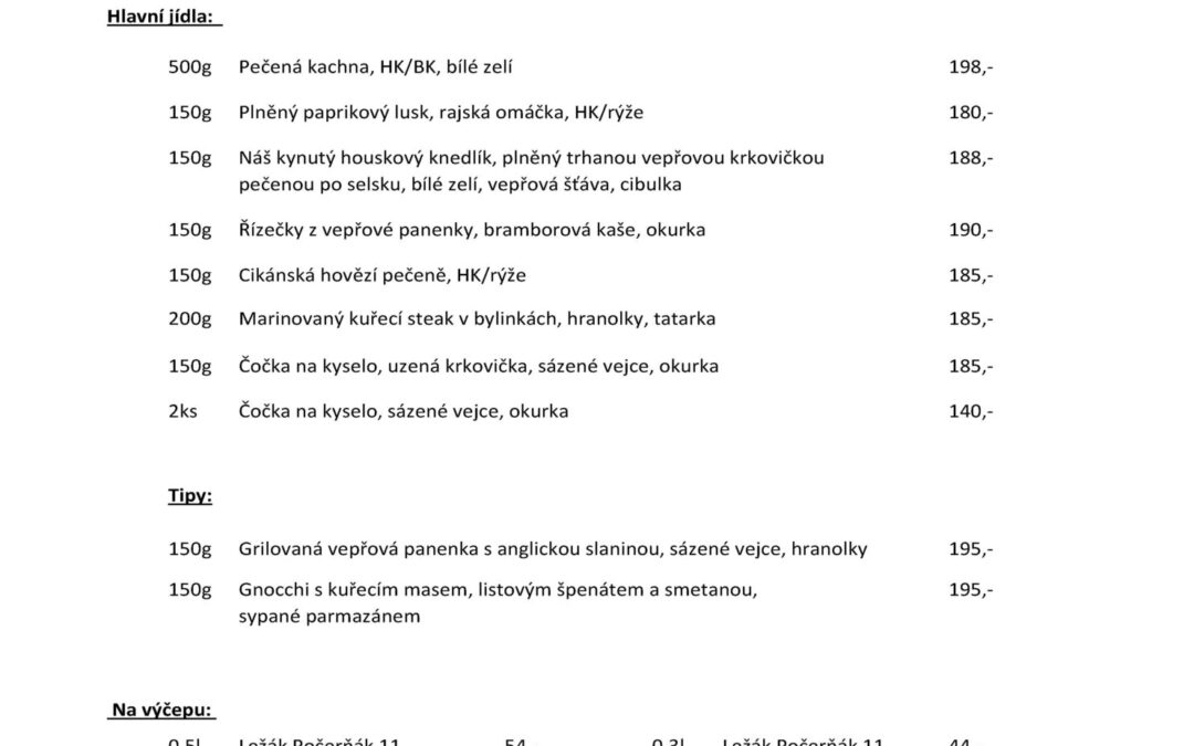 Denní menu