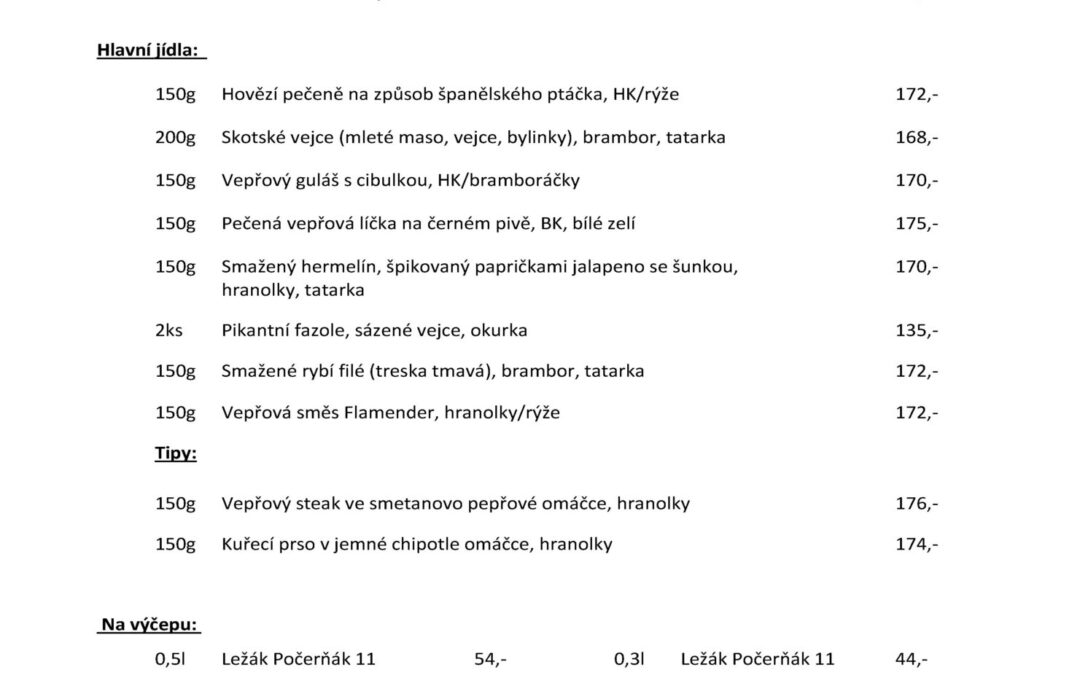 Denní menu